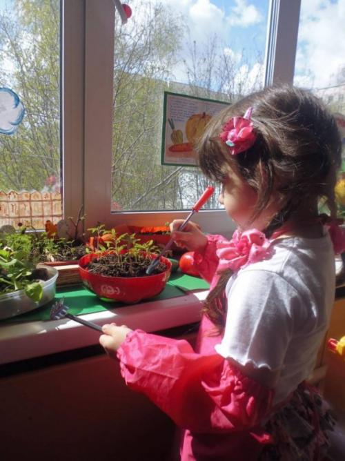 Какие инструменты и материалы необходимы для создания мини-огорода на окне. Инструментарий для огорода на подоконнике в уголке природы (1 фото)