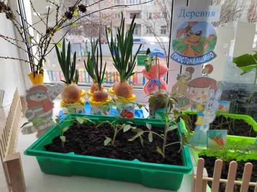 Как мини-огород на окне в детском саду может способствовать развитию детей. Статья Огород на окне опыты и эксперименты по окружающему миру (младшая группа)