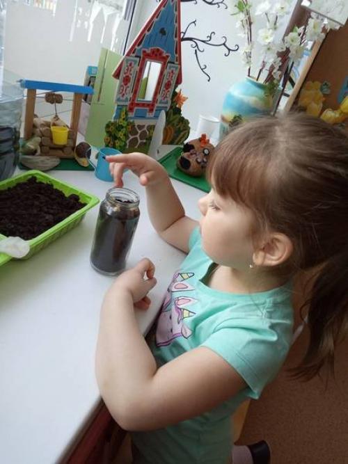 Как мини-огород на окне в детском саду может способствовать развитию детей. Статья Огород на окне опыты и эксперименты по окружающему миру (младшая группа)