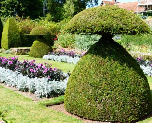 Стричь правильно, как кустарники. Стрижка кустов — основы правильного выбора растений и формирования правильных форм, подбор инструмента (фото + видео)