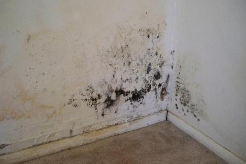 Укладка плитки на гипсокартон своими руками. Облицовочные работы 02 Укладка плитки на гипсокартон своими руками. Облицовочные работы 02