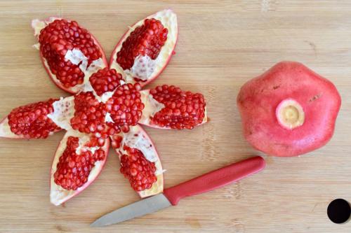 Все о выращивании граната в обычной городской квартире. Ботаническое описание 09 Все о выращивании граната в обычной городской квартире. Ботаническое описание 09