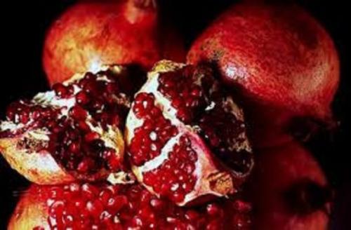 Какие цветы у граната. Кувшинчики с колокольчиками 01 Какие цветы у граната. Кувшинчики с колокольчиками 01