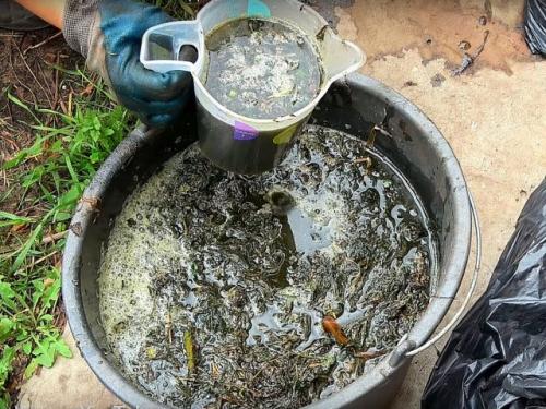 Какие преимущества имеет природное земледелие перед традиционным