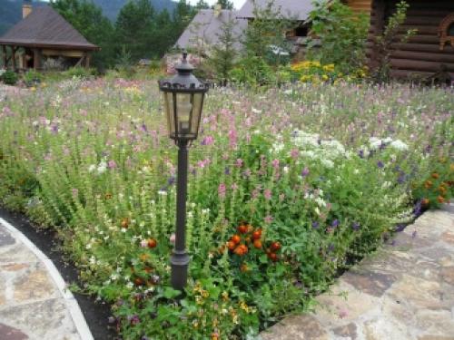 Газон для ленивых ТОП 3 Газонных Трав. Как ухаживать? 09 Газон для ленивых ТОП 3 Газонных Трав. Как ухаживать? 09