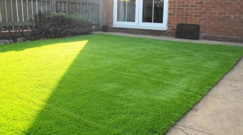 Газон лилипут. Все о газонах «лилипут» для ленивых