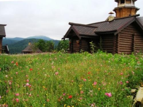 Газон для ленивых ТОП 3 Газонных Трав. Как ухаживать? 10 Газон для ленивых ТОП 3 Газонных Трав. Как ухаживать? 10