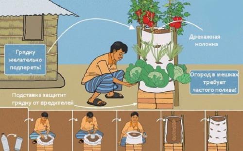Что можно сделать вместо огорода.  Переносной огород антикризис из полиэтиленовых мешков
