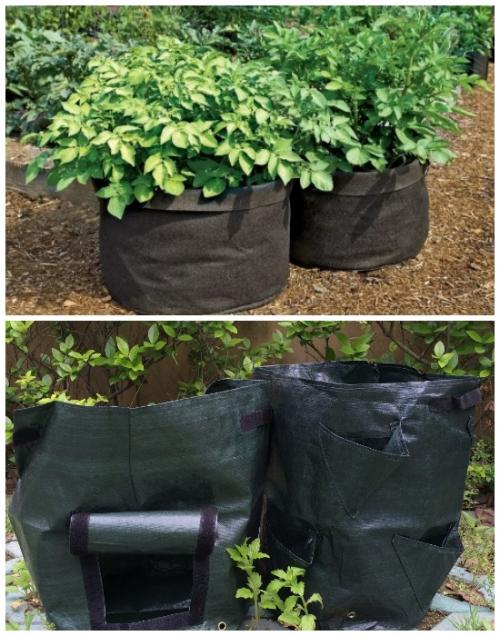 Что можно сделать вместо огорода.  Переносной огород антикризис из полиэтиленовых мешков