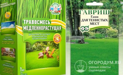 Как правильно посадить газон своими руками на даче весной. Посадка газонной травы