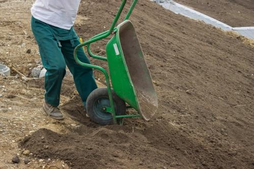 Газон на даче своими руками для ленивых, как посадить. Подготовительные этапы посадки газона на даче