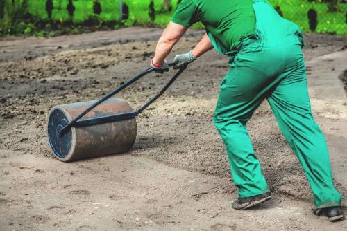 Газон на даче своими руками для ленивых, как посадить. Подготовительные этапы посадки газона на даче