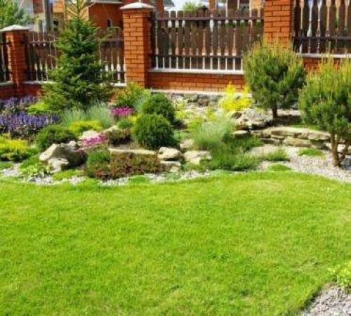 Газон лилипут или трава для ленивых. Как посадить газонную траву «Лилипут» на дачном участке? Правила ухода