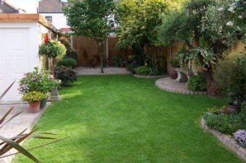 Газон лилипут или трава для ленивых. Как посадить газонную траву «Лилипут» на дачном участке? Правила ухода