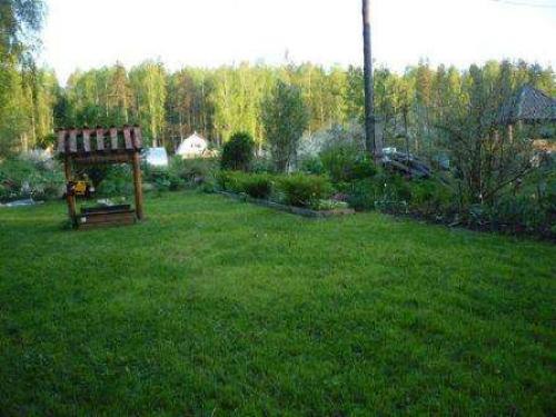 Газон лилипут или трава для ленивых. Как посадить газонную траву «Лилипут» на дачном участке? Правила ухода