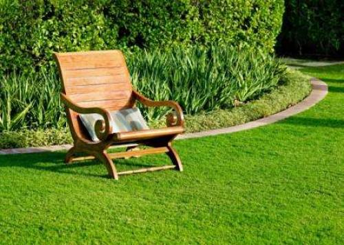 Газон лилипут или трава для ленивых. Как посадить газонную траву «Лилипут» на дачном участке? Правила ухода