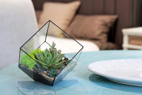 Флорариум своими руками: пошаговая инструкция для начинающих | ТОП-100 Идеи для создания (Фото Видео)