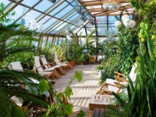 На окне круглый год лекарство растет. Домашний огород на подоконнике - правильное выращивание 18 На окне круглый год лекарство растет. Домашний огород на подоконнике - правильное выращивание 18