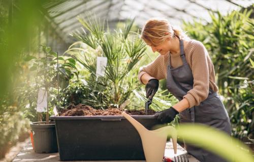Польза огорода. Польза дачной жизни