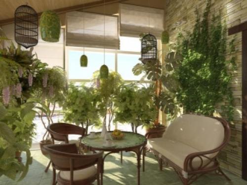 На окне круглый год лекарство растет. Домашний огород на подоконнике - правильное выращивание 19 На окне круглый год лекарство растет. Домашний огород на подоконнике - правильное выращивание 19