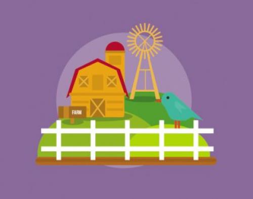 На окне круглый год лекарство растет. Домашний огород на подоконнике - правильное выращивание 21 На окне круглый год лекарство растет. Домашний огород на подоконнике - правильное выращивание 21