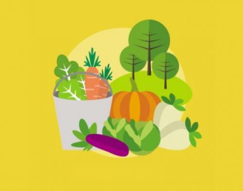 На окне круглый год лекарство растет. Домашний огород на подоконнике - правильное выращивание 22 На окне круглый год лекарство растет. Домашний огород на подоконнике - правильное выращивание 22