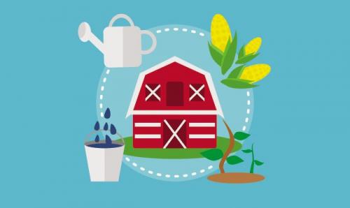 На окне круглый год лекарство растет. Домашний огород на подоконнике - правильное выращивание 20 На окне круглый год лекарство растет. Домашний огород на подоконнике - правильное выращивание 20