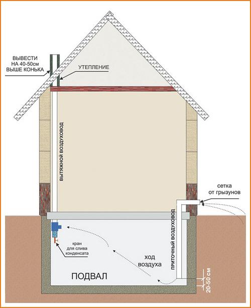 Вентиляция в погребе своими руками. Вентиляция в погребе