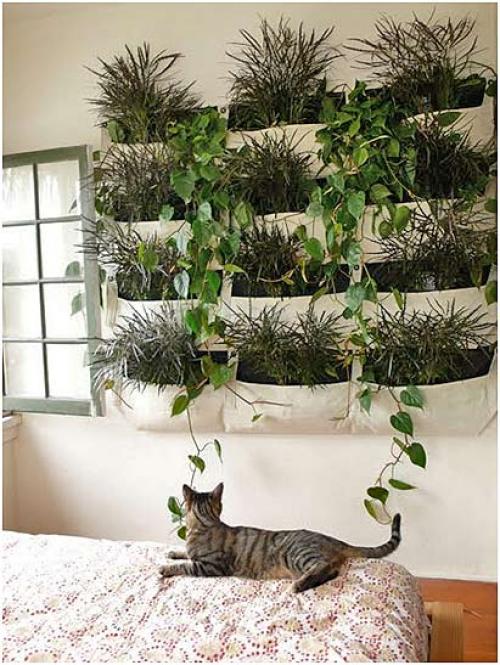 Модный мини-сад на подоконнике. Мини-сад своими руками на подоконнике: секреты создания чуда в горшке 07