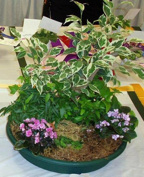 Как сделать мини садик. Акценты