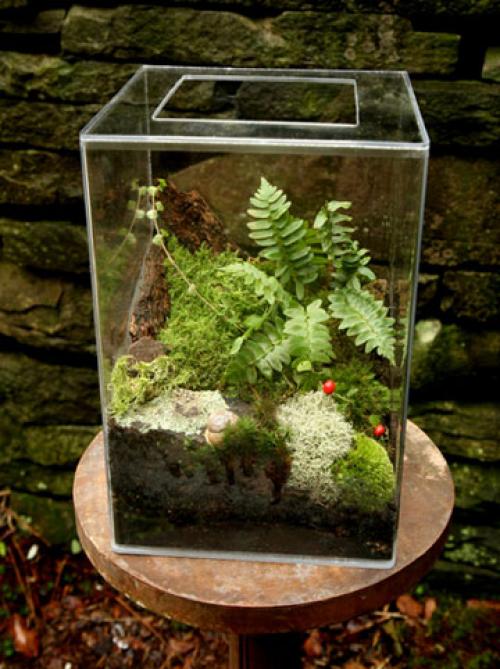 Японский настольный сад камней. Японский настольный садик - что это и как его сделать своими руками?