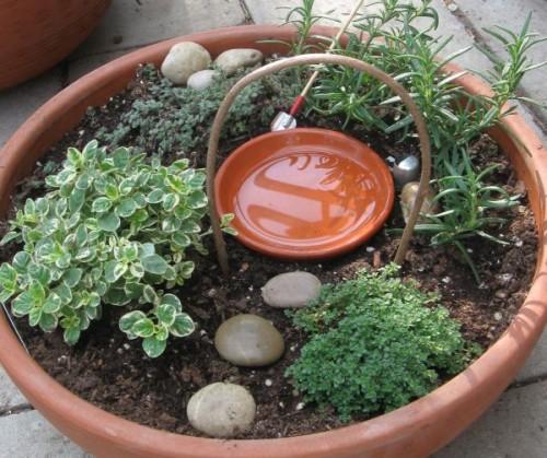 ММни сад на подоконнике. Основы квартирного земледелия 01 ММни сад на подоконнике. Основы квартирного земледелия 01