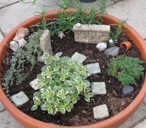 ММни сад на подоконнике. Основы квартирного земледелия 02 ММни сад на подоконнике. Основы квартирного земледелия 02