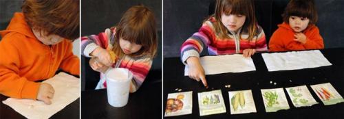 Мини сад-огород на окне. Мини-проект Огород на окне. 06 Мини сад-огород на окне. Мини-проект Огород на окне. 06