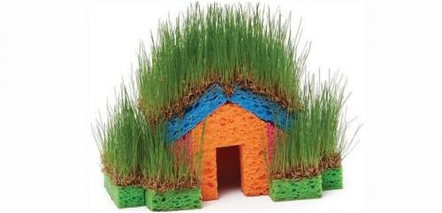 Мини сад-огород на окне. Мини-проект Огород на окне. 08 Мини сад-огород на окне. Мини-проект Огород на окне. 08