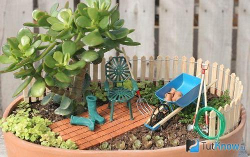 Миниатюрный сад на окошке. Что нужно для создания мини-сада своими руками 08