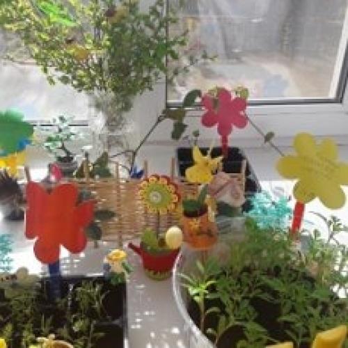 Мини-сад на окне quot. Мини-сад на окне Цветочная фантазия опыты и эксперименты (средняя группа)