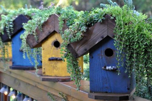 Аксессуары для мини сада своими руками. 90 идей украшений для сада своими руками (фото)