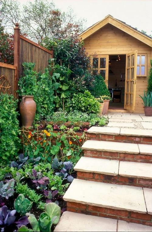 Клумбы в огороде. Дизайн клумб из овощей и цветов: 45 удивительных идей для своего участка