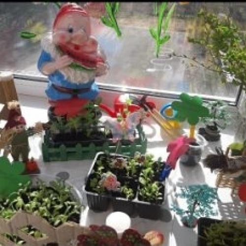 Мини-сад на окне quot. Мини-сад на окне Цветочная фантазия опыты и эксперименты (средняя группа)