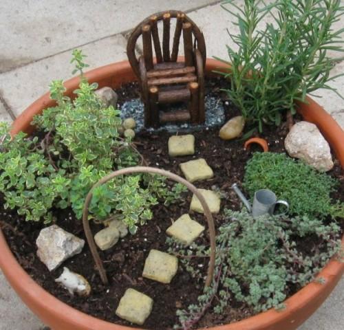 Мини сад на подоконнике. Что нужно для освоения нового хобби 03 Мини сад на подоконнике. Что нужно для освоения нового хобби 03