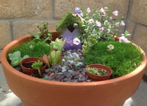 Мини сад на подоконнике. Что нужно для освоения нового хобби 01 Мини сад на подоконнике. Что нужно для освоения нового хобби 01