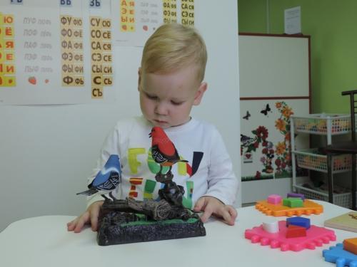 Мини сад на подоконнике. Что нужно для освоения нового хобби 22 Мини сад на подоконнике. Что нужно для освоения нового хобби 22