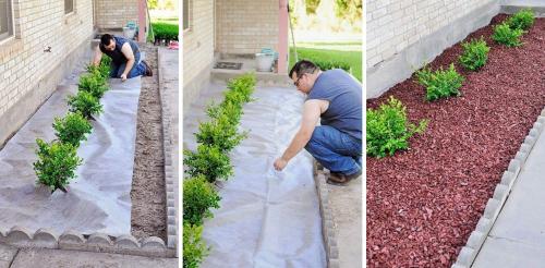 Клумбы в огороде. Цветники и клумбы на даче (фото)