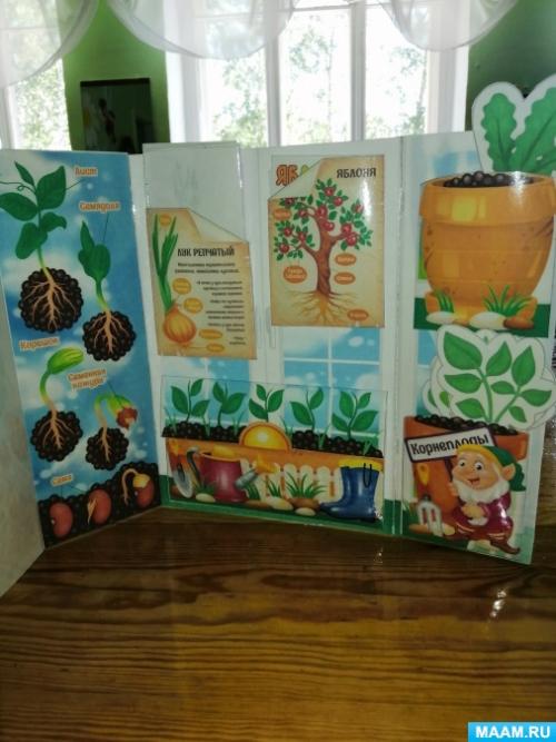 Лэпбук огород на подоконнике для дошкольников. Лэпбук «Огород на подоконнике» 01