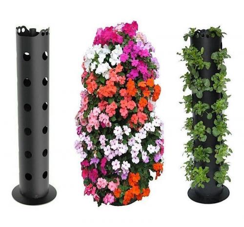 Клумбы в огороде. Цветники и клумбы на даче (фото)