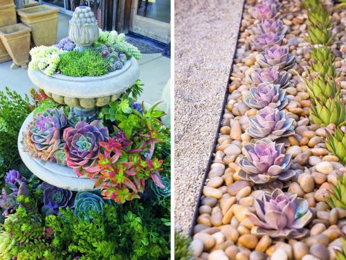 Клумбы в огороде. Цветники и клумбы на даче (фото)