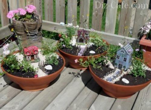 Подходящие растения для мини сада. Формируем идею будущей композиции 01