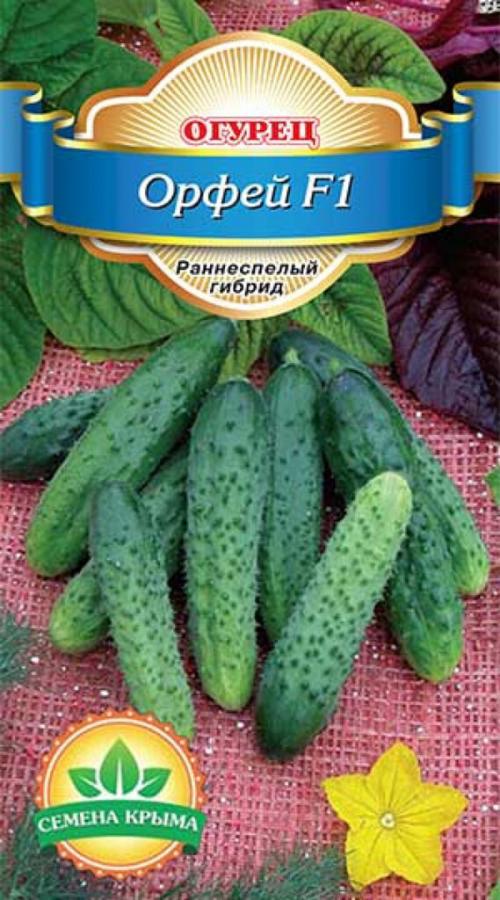 Самоопыляемые овощи. Самоопыляемые сорта огурцов 2022 — описание с фото