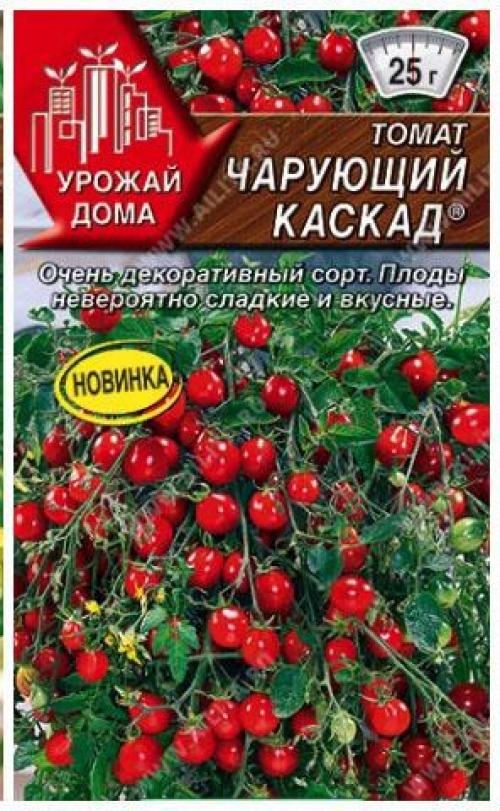 Контейнерный огород в квартире. Секрет успешного огорода на подоконнике от профессионалов 03